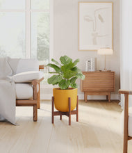 Lade das Bild in den Galerie-Viewer, Sunset Orange stand:walnut