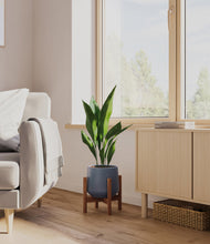 Load image into Gallery viewer, Deep Navy stand:walnut