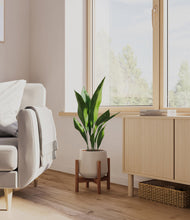 Load image into Gallery viewer, Eternal Gray stand:walnut