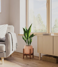 Load image into Gallery viewer, Calm Rose stand:walnut