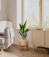 Load image into Gallery viewer, Gentle Pink stand:bamboo