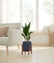 Load image into Gallery viewer, Deep Navy stand:walnut