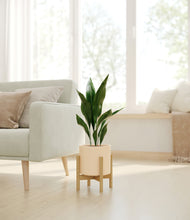 Load image into Gallery viewer, Cream stand:bamboo