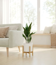 Load image into Gallery viewer, White stand:bamboo