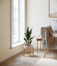 Load image into Gallery viewer, Desert Brown stand:bamboo