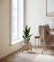 Load image into Gallery viewer, Winter Clouds stand:walnut