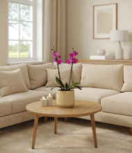 Load image into Gallery viewer, Almond Green