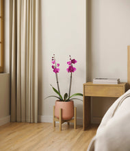 Load image into Gallery viewer, Calm Rose stand:bamboo