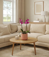 Load image into Gallery viewer, Calm Rose