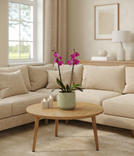 Load image into Gallery viewer, Turquoise