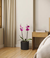 Load image into Gallery viewer, Black