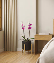 Load image into Gallery viewer, Black stand:bamboo