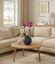 Load image into Gallery viewer, Deep Navy