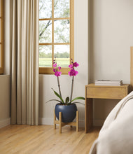 Load image into Gallery viewer, -