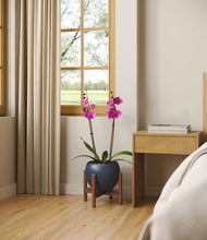 Load image into Gallery viewer, -