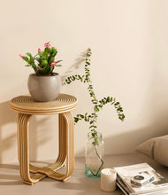 Load image into Gallery viewer, -