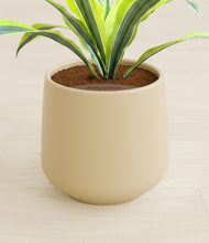 Lade das Bild in den Galerie-Viewer, Almond Green stand:all