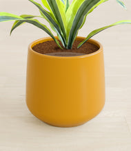 Lade das Bild in den Galerie-Viewer, Mustard stand:all