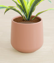 Lade das Bild in den Galerie-Viewer, Calm Rose stand:all