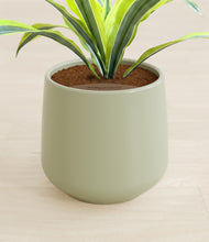 Lade das Bild in den Galerie-Viewer, Turquoise stand:all