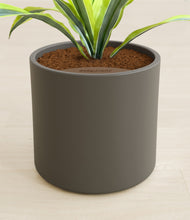 Lade das Bild in den Galerie-Viewer, Dark Olive stand:all