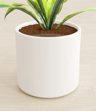 Lade das Bild in den Galerie-Viewer, White stand:all