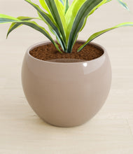Lade das Bild in den Galerie-Viewer, Desert Brown stand:all