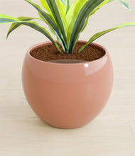Lade das Bild in den Galerie-Viewer, Calm Rose stand:all