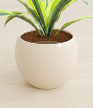 Lade das Bild in den Galerie-Viewer, Shiny EggWhite stand:all