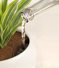 Lade das Bild in den Galerie-Viewer, Shiny EggWhite stand:all