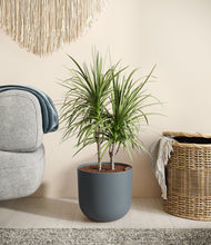 Charger l'image dans la galerie, Iron Gray