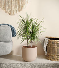 Charger l'image dans la galerie, Sandy Pink