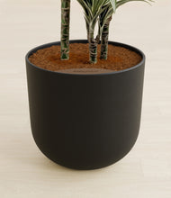 Load image into Gallery viewer, Stone Black stand:all