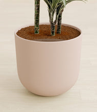 Load image into Gallery viewer, Sandy Pink stand:all