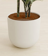 Load image into Gallery viewer, Natural Bamboo stand:all