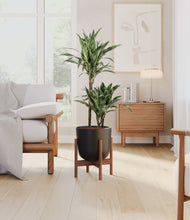 Load image into Gallery viewer, Stone Black stand:walnut