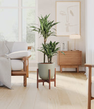 Load image into Gallery viewer, Sage Green stand:walnut