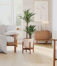 Load image into Gallery viewer, Sandy Pink stand:walnut