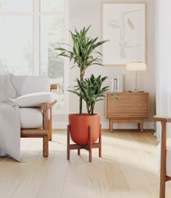 Load image into Gallery viewer, Earth Red stand:walnut