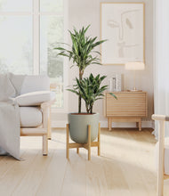 Load image into Gallery viewer, Sage Green stand:bamboo