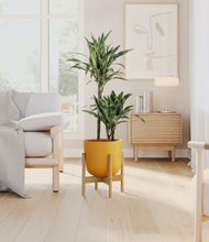 Load image into Gallery viewer, Sunset Orange stand:bamboo