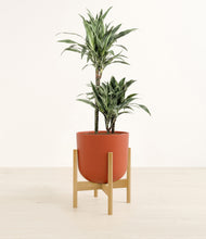 Load image into Gallery viewer, Earth Red stand:bamboo