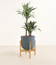 Load image into Gallery viewer, Iron Gray stand:bamboo