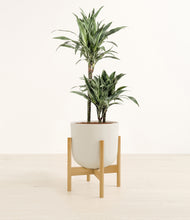 Load image into Gallery viewer, Natural Bamboo stand:bamboo