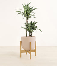 Load image into Gallery viewer, Sandy Pink stand:bamboo