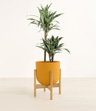 Load image into Gallery viewer, Sunset Orange stand:bamboo