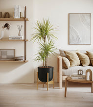 Load image into Gallery viewer, Stone Black stand:bamboo