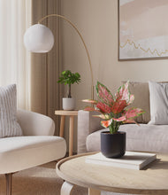 Load image into Gallery viewer, Orca