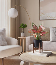 Load image into Gallery viewer, Orca stand:one_stand