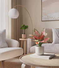 Load image into Gallery viewer, Rose Petal